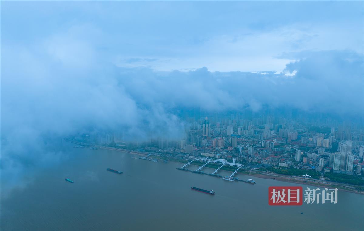 大宝lg娱乐